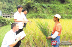 澳门银河赌场_澳门银河网址_澳门银河网站_怀化市政策性农业保险现状调查